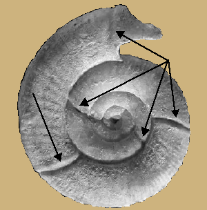 Constriction
