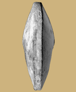 Tabulé
