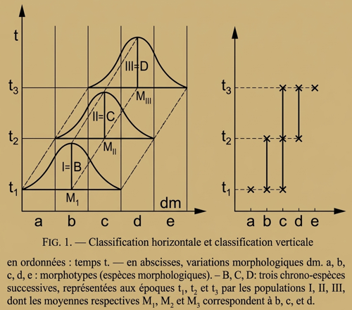 Chronoespèce