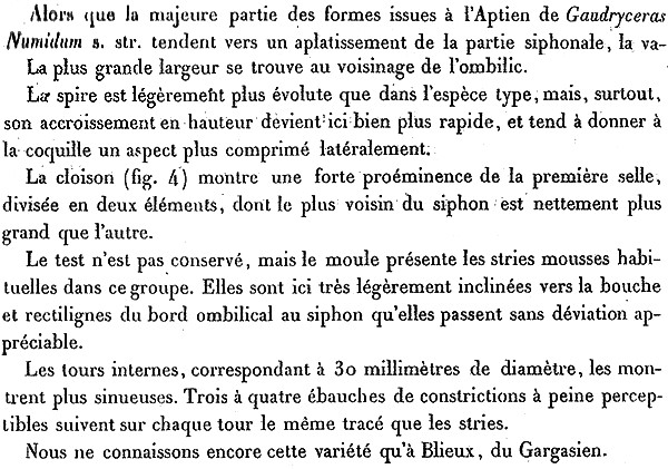 en-fallot5.jpg